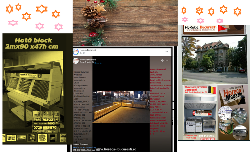 Friteusa profesionala cu 2 cuve,  pe suport,  L700, Horeca Bucuresti